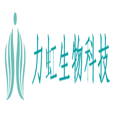山東力虹驚艷亮相 2025上海 “中國國際造紙科技展覽會及會議”，新品璀璨綻放引矚目