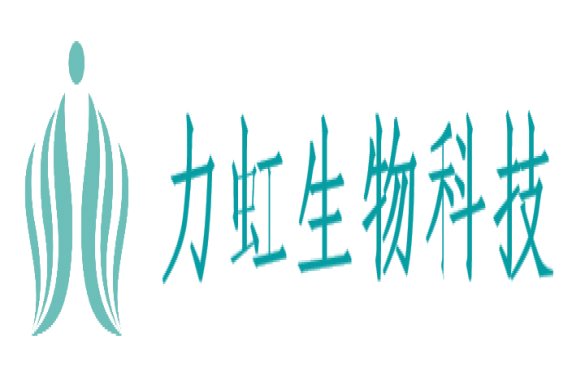 山東力虹驚艷亮相 2025上海 “中國國際造紙科技展覽會及會議”，新品璀璨綻放引矚目